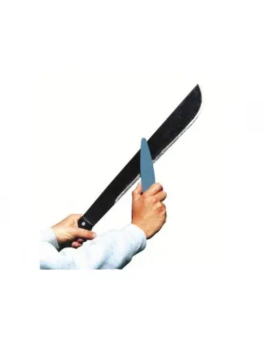 Piatra de ascutit LANSKY