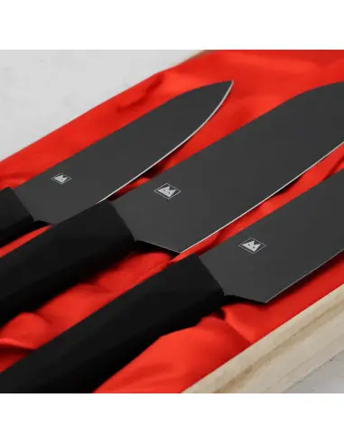 Satake Black, Set de 3 cuțite într-o...